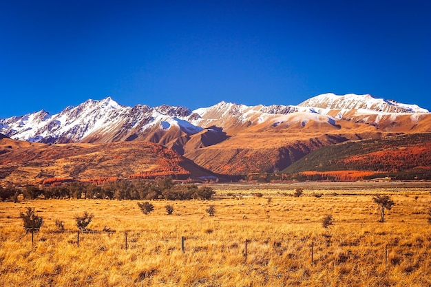 New Zealand Mountain Scenery