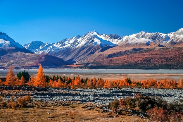 ニュージーランドの山の風景