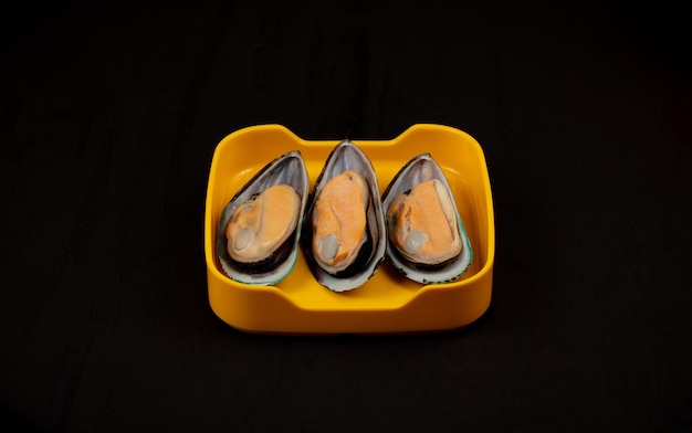 New Zealand mussel on yellow plate with black background