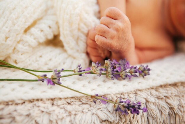 Newborn baby in a cot in nature