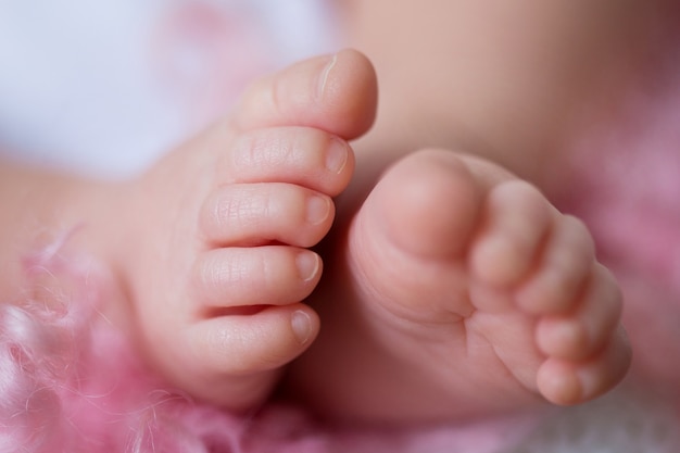 newborn baby feet close up