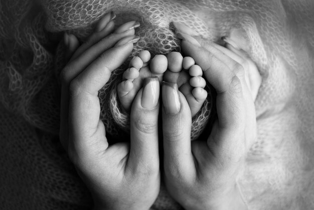 Newborn baby feet in mother39s hands mom and her child the\
parent holds the legs of a newborn child in his hands happy family\
and motherhood concept professional macro closeup black and\
white