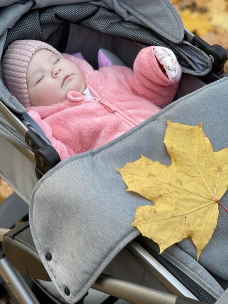 秋の公園のクローズアップでベビーカーで寝ている新生児の女の子