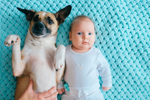 ミントウールチェック柄の面白い子犬と一緒に背中に横になっている生まれたばかりの赤ちゃんのライフスタイルソフトフォーカスの肖像画。