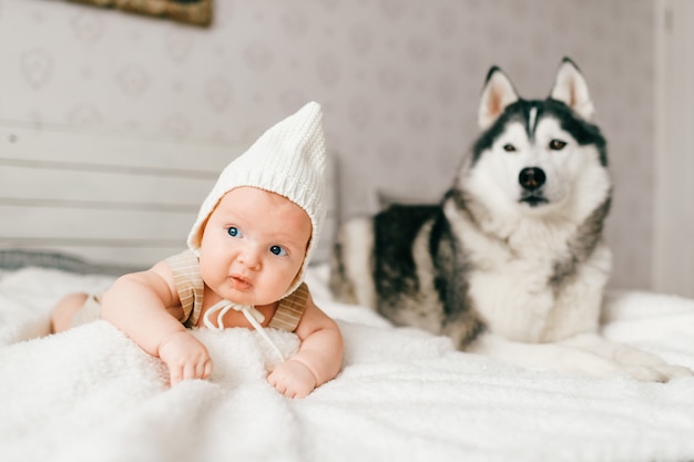 Newborn baby lifestyle soft focus portrait lying on back together with husky puppy on bed at home.