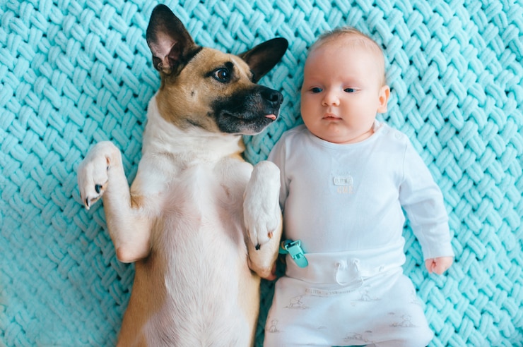 Photo newborn baby lying with cute funny puppy on bed.