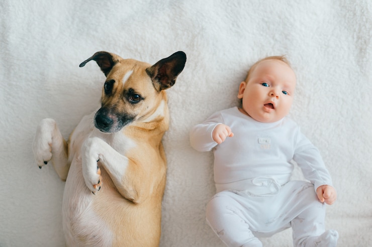 Photo newborn baby lying with funny puppy on bed.