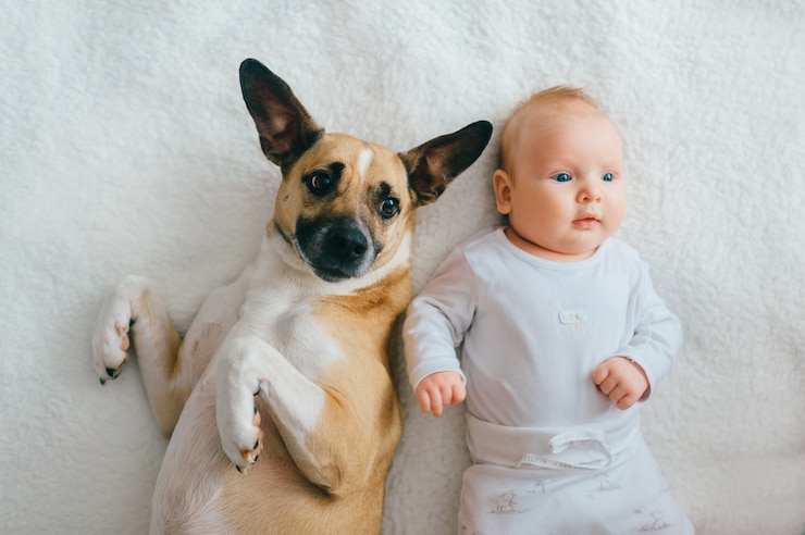 Photo newborn baby lying with funny puppy on bed.