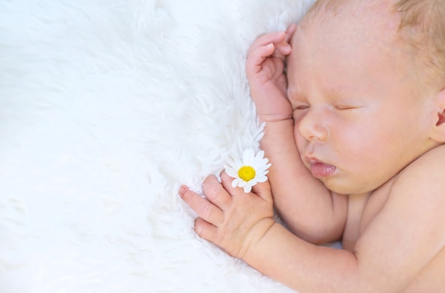 Newborn baby sleeps with chamomile