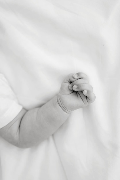 Newborn baby small hand photography idea