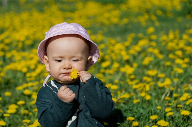 갓 태어난 아기는 민들레 맛을 봅니다. 노란 민들레를 입은 아이의 사진