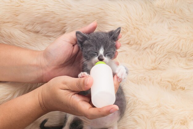 Newborn cat drinking milk from the bottle