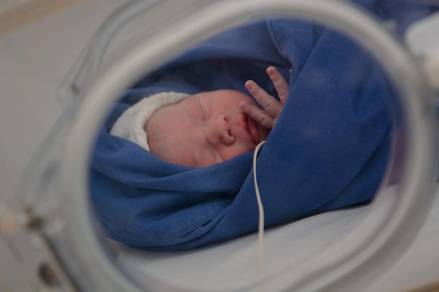 Newborn in the first few minutes of life