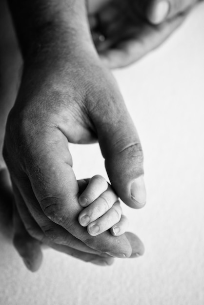 A newborn holds on to mom39s dad39s finger hands of parents and\
baby close up a child trusts and holds her tight tiny fingers of a\
newborn black and white macrophoto concepts of family and love