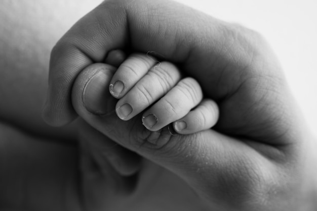 A newborn holds on to mom39s dad39s finger hands of parents and\
baby close up a child trusts and holds her tight tiny fingers of a\
newborn black and white macrophoto concepts of family and love