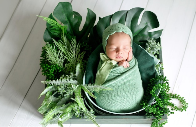 新生児は緑のおむつに包まれ、モンステラの葉を持つ熱帯植物の中で甘く眠ります