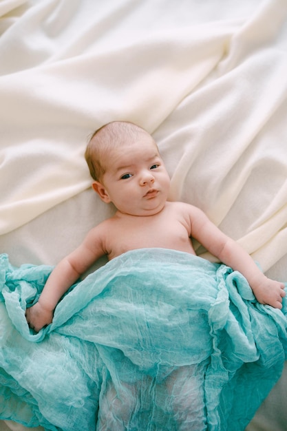 Newborn lies with open eyes on a beige blanket covered with a blue scarf