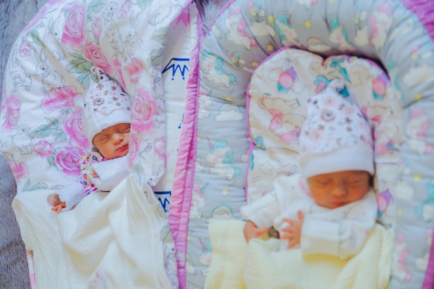 Newborn twins sleeping in the baby nest