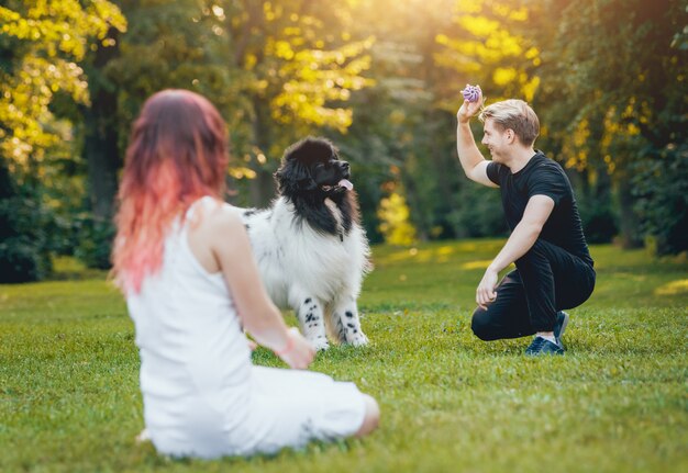 Photo newfoundland dog plays with man and woman in the park