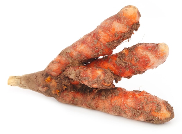 Newly harvested Turmeric over white background