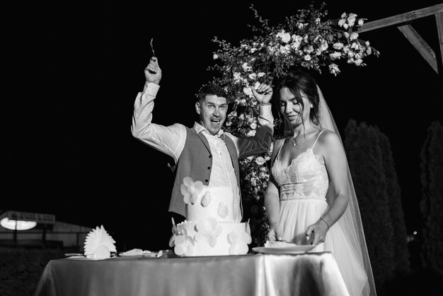 Newlyweds happily cut, laugh and taste the wedding cake