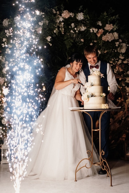 Newlyweds happily cut, laugh and taste the wedding cake