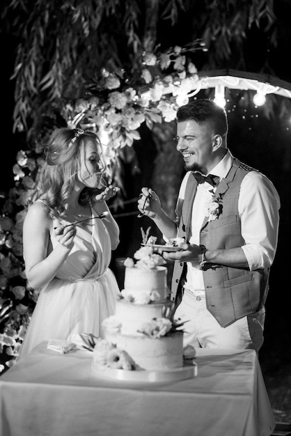 Newlyweds happily cut, laugh and taste the wedding cake