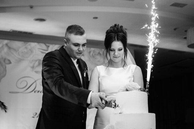 Newlyweds happily cut, laugh and taste the wedding cake