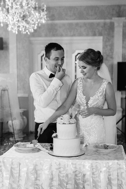 Newlyweds happily cut, laugh and taste the wedding cake