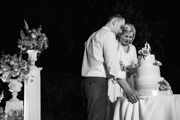 Newlyweds happily cut, laugh and taste the wedding cake