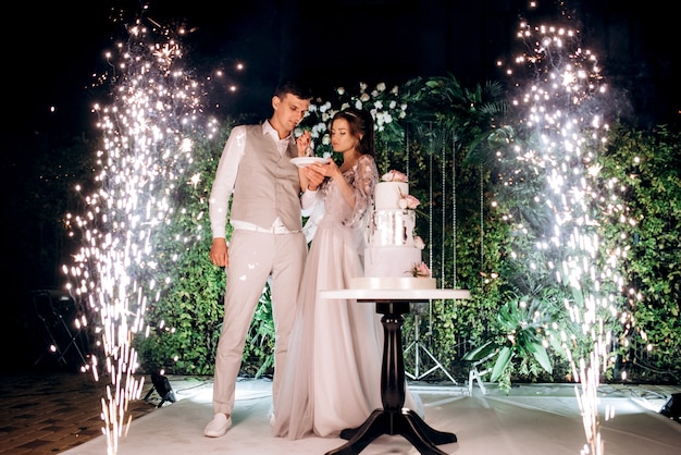 Newlyweds happily cut, laugh and taste the wedding cake