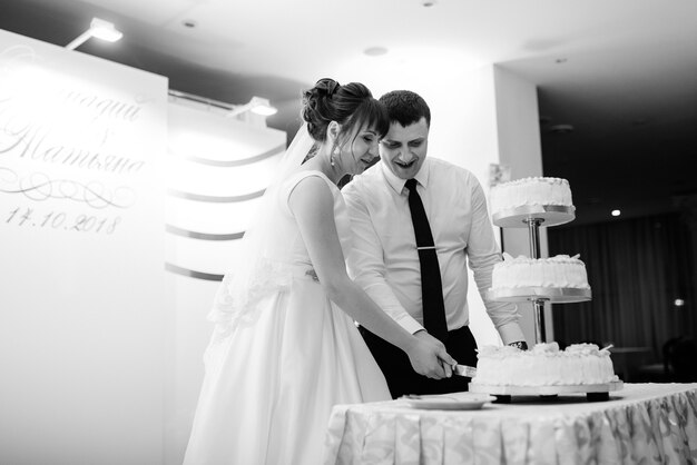 Newlyweds happily cut, laugh and taste the wedding cake