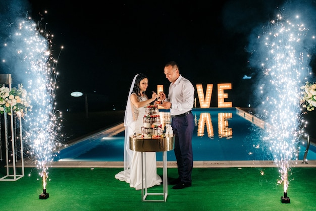 Newlyweds happily cut, laugh and taste the wedding cake