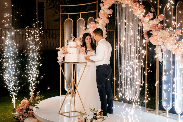 Newlyweds happily cut, laugh and taste the wedding cake