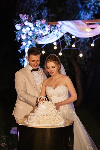 Newlyweds happily cut, laugh and taste the wedding cake