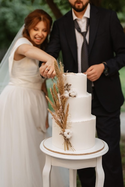 Newlyweds happily cut and taste the wedding cake