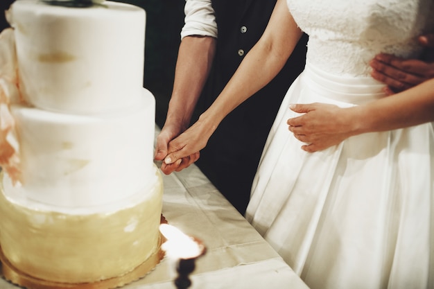 Newlyweds hug cutting a wedding cake