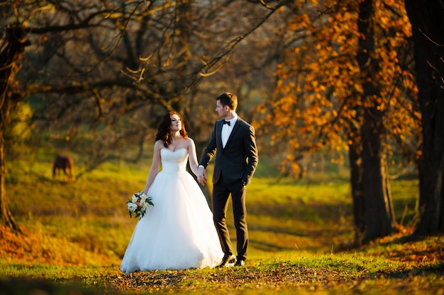 Newlyweds kissing and smiling on their wedding day on the walk outdoors. Funny bride with bouquet of flowers.