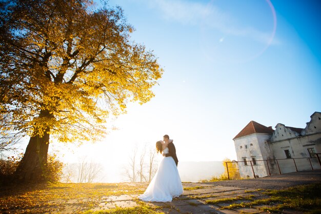 Newlyweds posing in a park