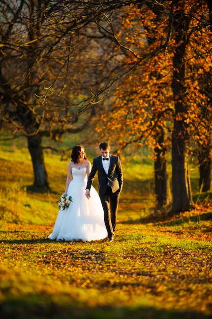 Newlyweds posing in a park