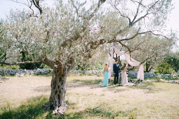 Gli sposini stanno sotto un albero davanti al cerimoniere nel parco
