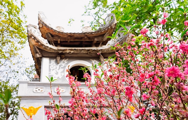 Ngoc Son Tempel van Jade Mountain op West Lake in Hanoi, hoofdstad van Vietnam in Zuidoost-Azië. Traditionele torenpoortarchitectuur. Sakura boom bloemen bloeien en bloeien.