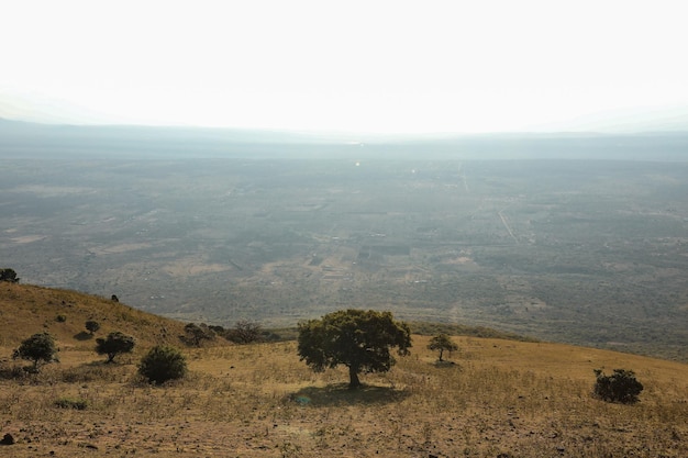 Ngong Hills Forest reserve recreational area picnic sunset windpower kajiado county landscape kenya