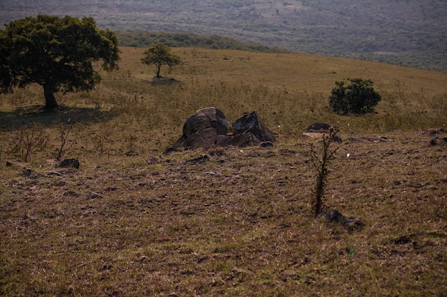 Лесный заповедник Нгонг-Хиллз, зона отдыха, пикник, закат, ветровая энергия, ландшафт округа Каджиадо, Кения