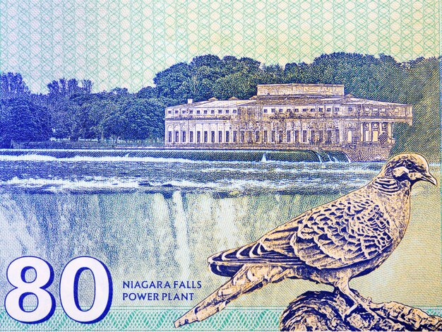 Photo niagara falls power plant from money