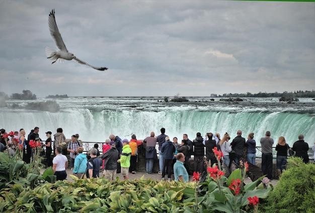 Niagara watervallen