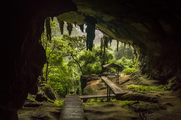 Niah national park, niah cave in sarawak maleisië