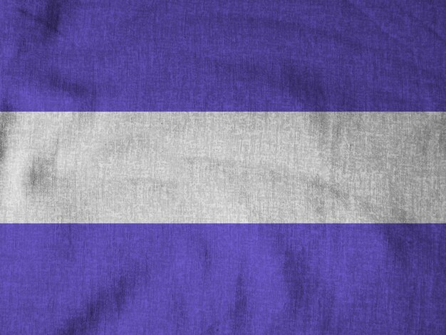 写真 ニカラグアの国旗