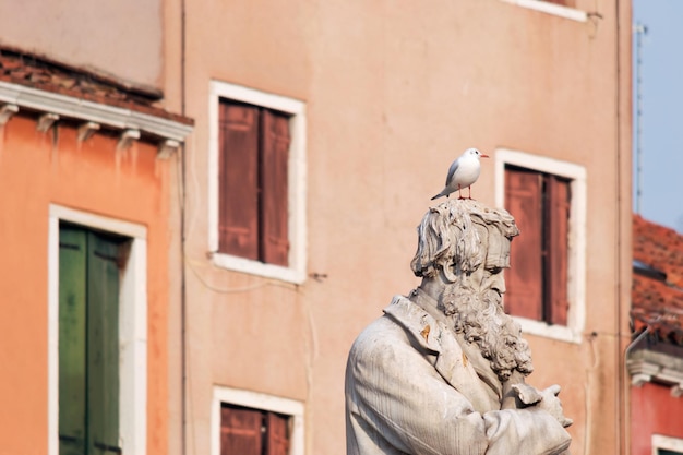 Niccolo Tommaseo statue with a seagull on it