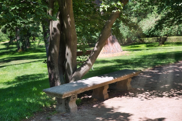 Nice bench in a park on a sunny day